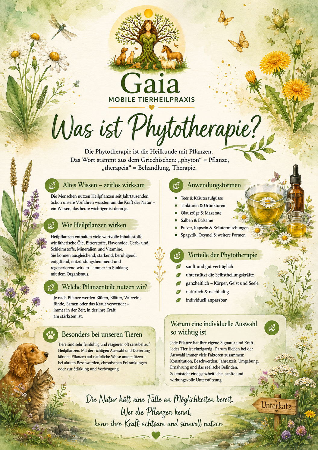 phytotherapie